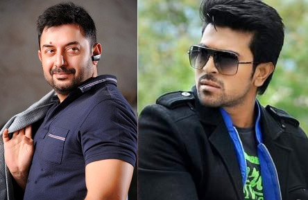 dhruva,ram charan,allu aravind,thani oruvan,aravind swamy  'ధృవ'పై మెగాభిమానులకు అనుమానం!